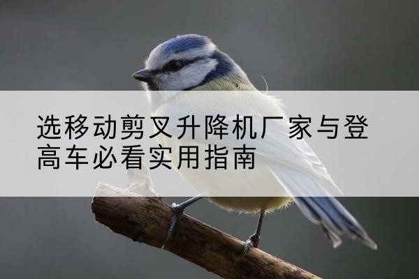 开远电动升降机厂家-选移动剪叉升降机厂家与登高车必看实用指南