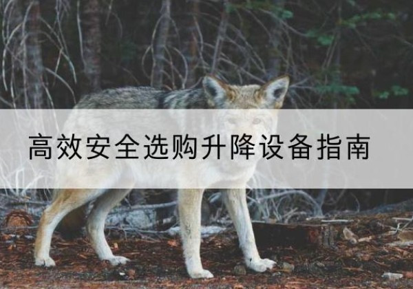 开远升降货梯厂家推荐-*安全选购升降设备指南